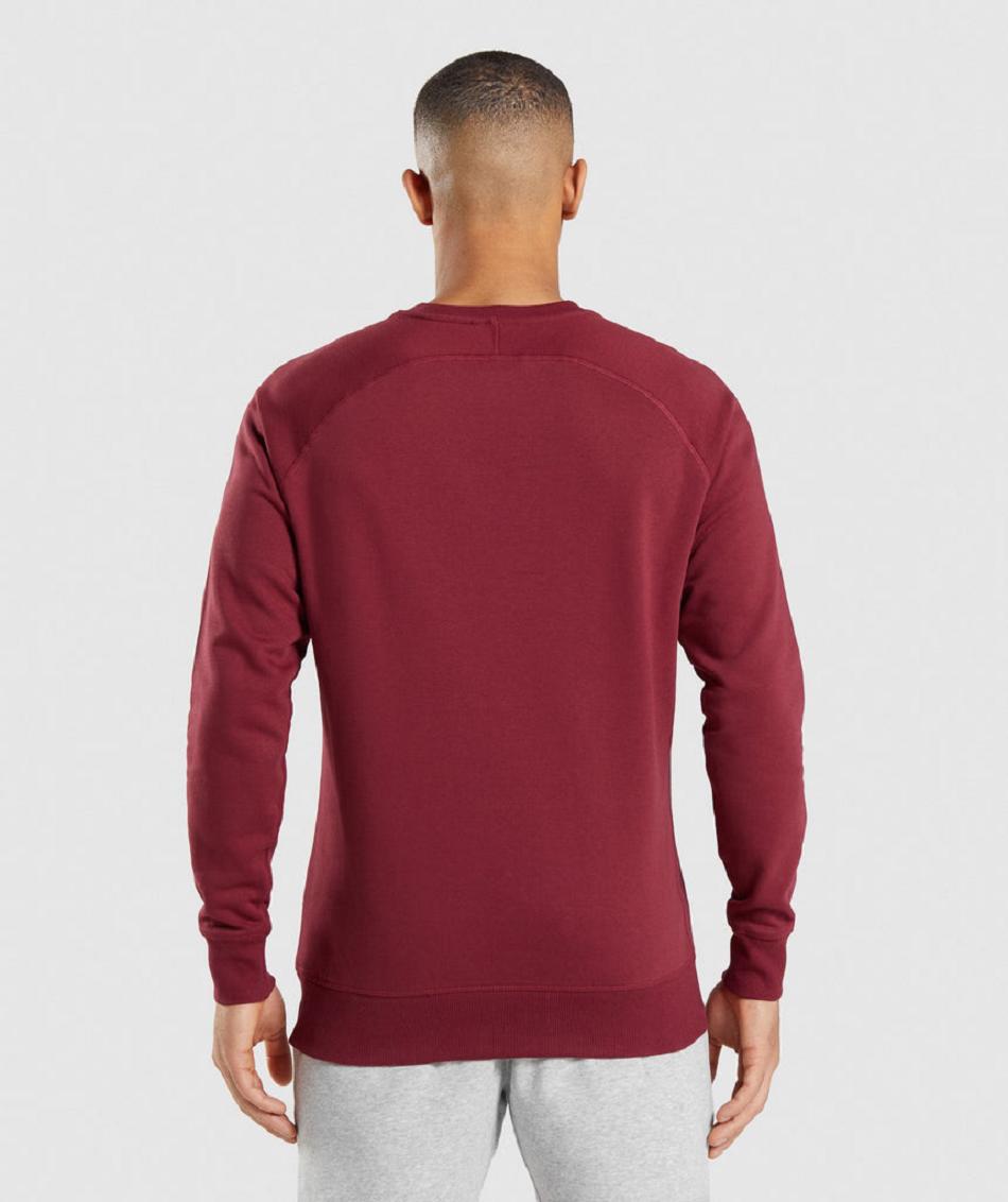 Gymshark Crest Sweatshirt Muške Accessories Bordo Crvene | HR 2772KOR